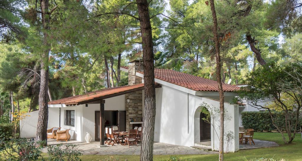 Villa Irini In Sani Сани Бийч Екстериор снимка