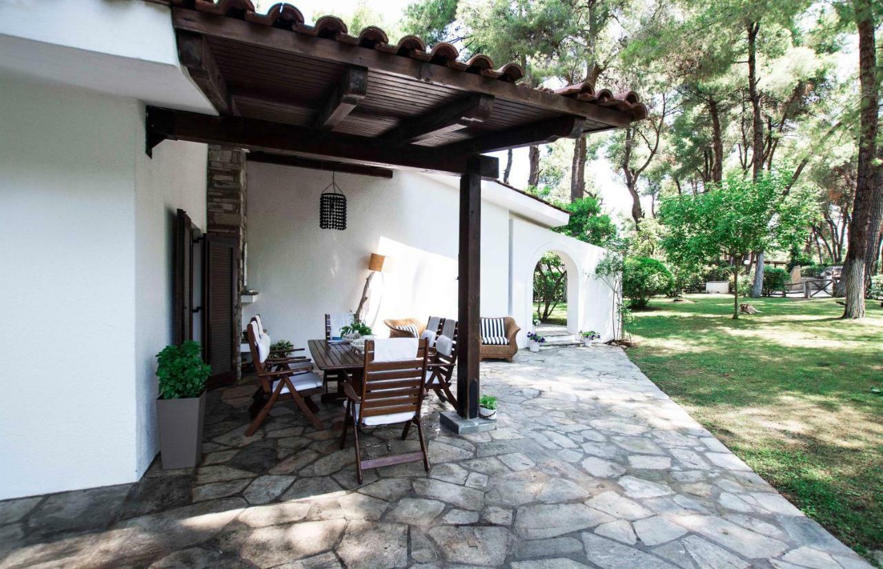 Villa Irini In Sani Сани Бийч Екстериор снимка