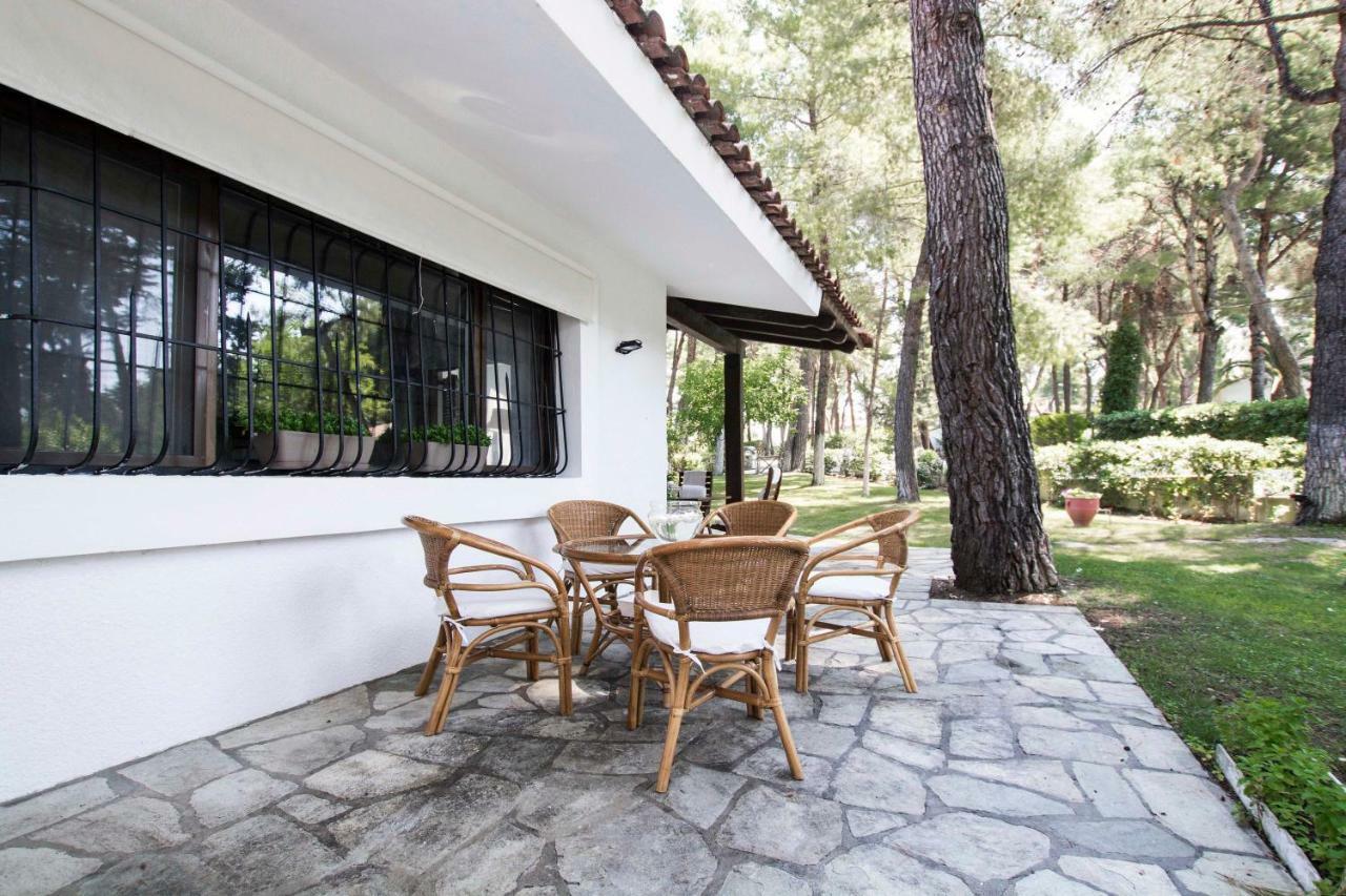 Villa Irini In Sani Сани Бийч Екстериор снимка