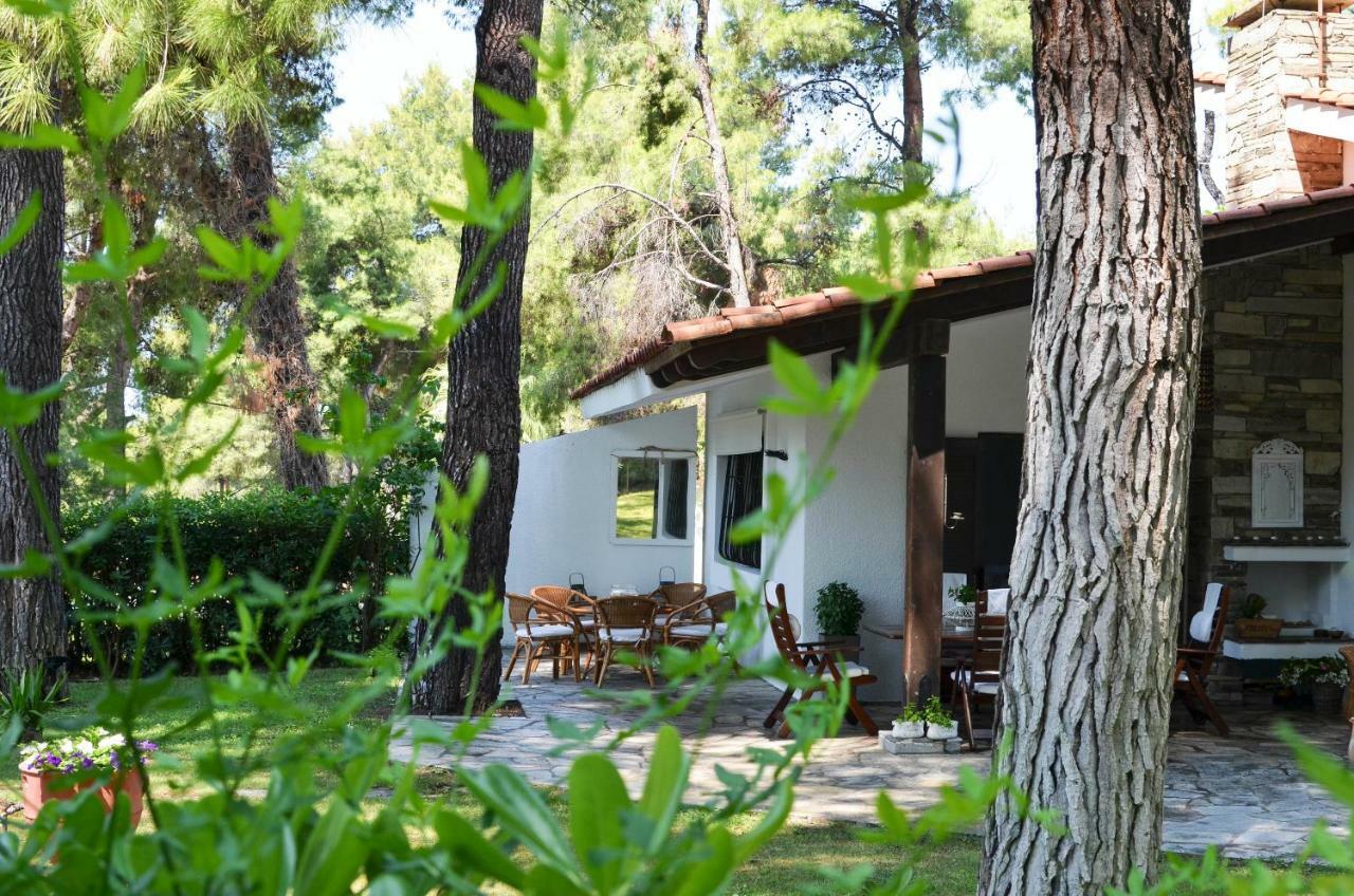 Villa Irini In Sani Сани Бийч Екстериор снимка