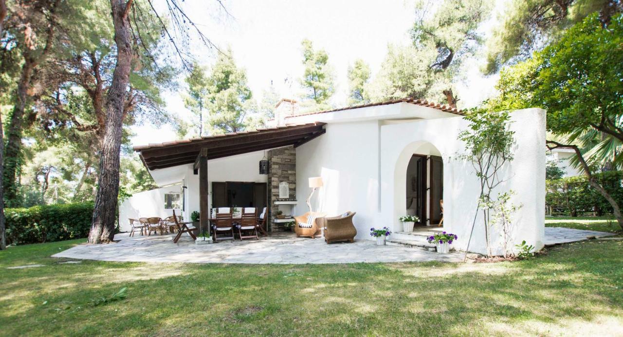 Villa Irini In Sani Сани Бийч Екстериор снимка
