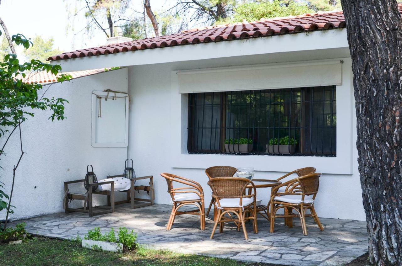 Villa Irini In Sani Сани Бийч Екстериор снимка